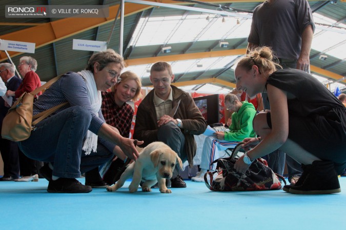 2012 - Forum des loisirs