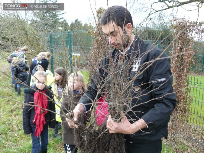 2013 - Plantation d’une charmille au Blanc-Four