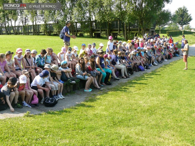 2013 - ALSH été 2013