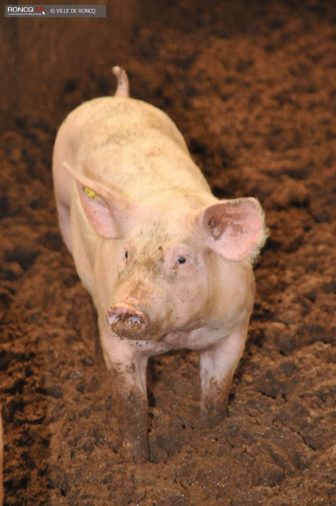 2014 - Ferme du Vinage au salon de l agriculture