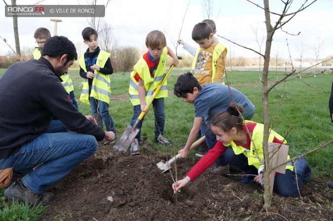 2014 - Plus d arbres plus de vie : les enfants font une haie
