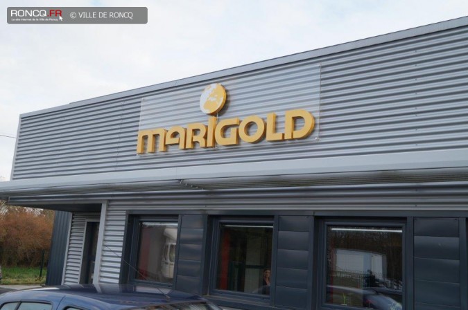 2014 - Marigold
