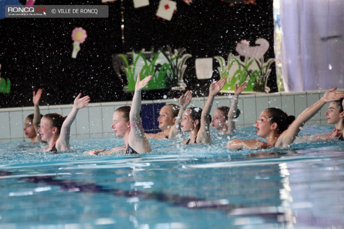 2014 - gala natation