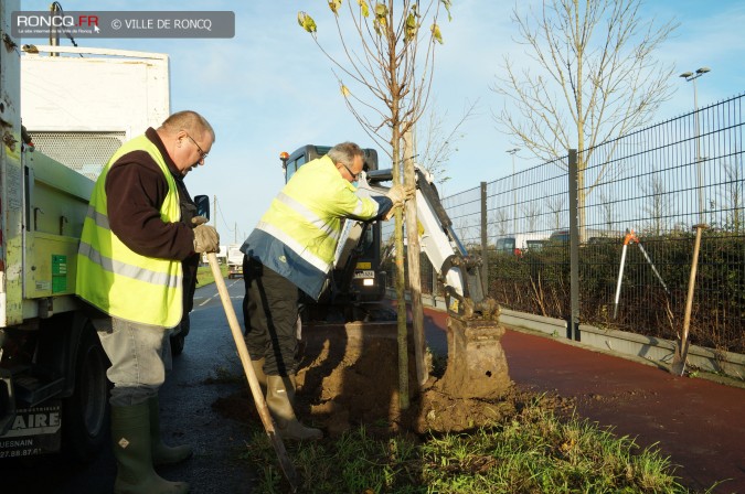 2015 - arbres je grandis