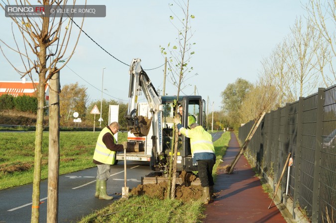 2015 - arbres je grandis