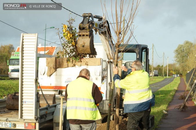 2015 - arbres je grandis