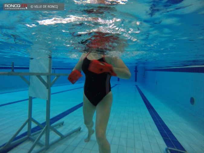 2015 - aquatraining formation 