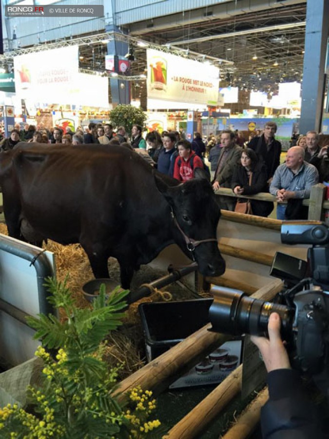 2015 - salon agriculture