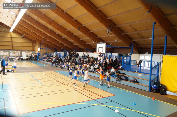 2015 - basket paniers