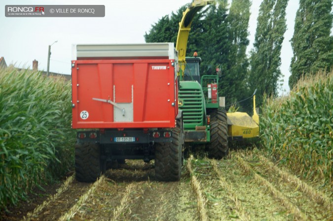 2015 - ensilage 