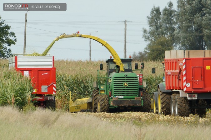 2015 - ensilage 