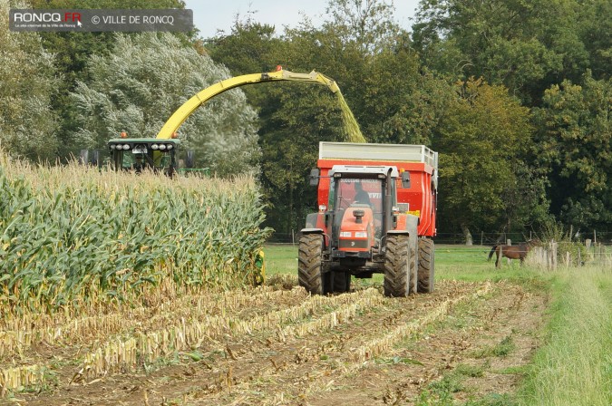 2015 - ensilage