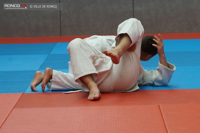2016 - judo poussins 
