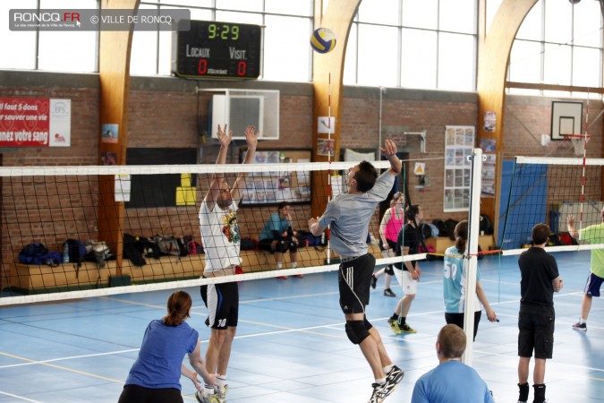 2016 - volley