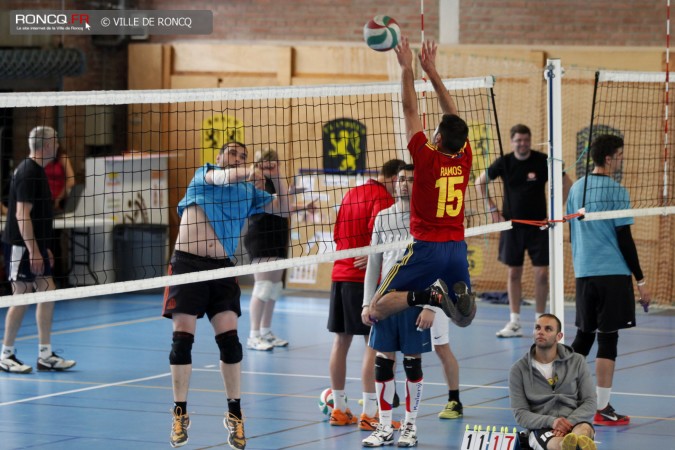 2016 - volley