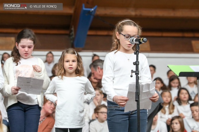 2017 - ceremonie 11 novembre