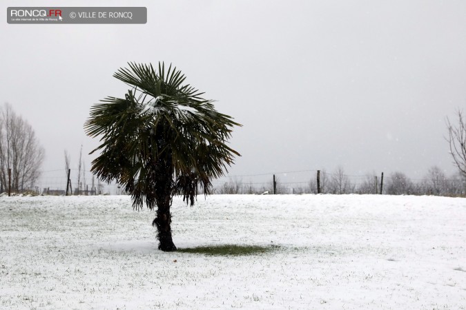 2017 - alerte neige