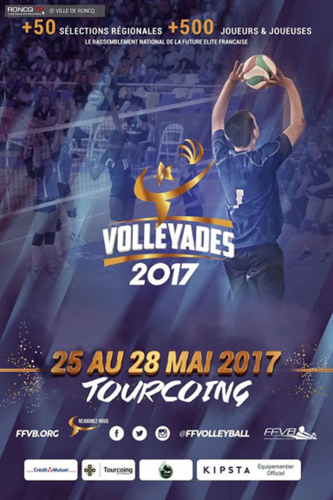 2017 - volleyades