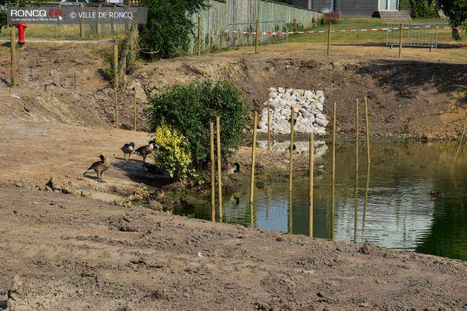 2017 - etang visite