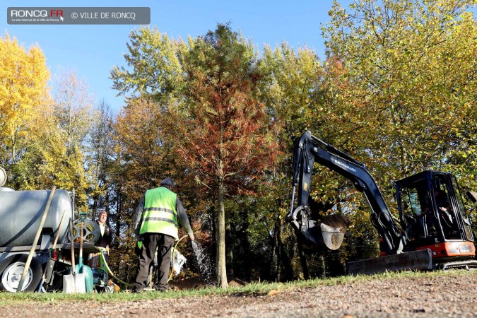 2018 - plantation d'un arbre