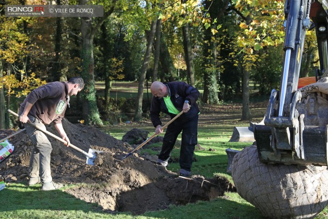 2018 - plantation d'un arbre