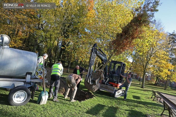 2018 - plantation d'un arbre