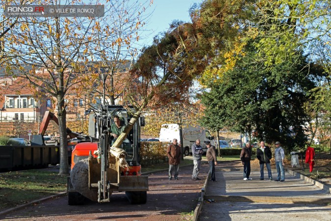 2018 - plantation d'un arbre