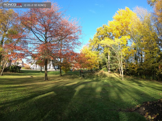 2018 - plantation d'un arbre