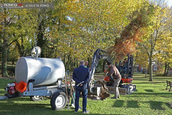 2018 - plantation d'un arbre