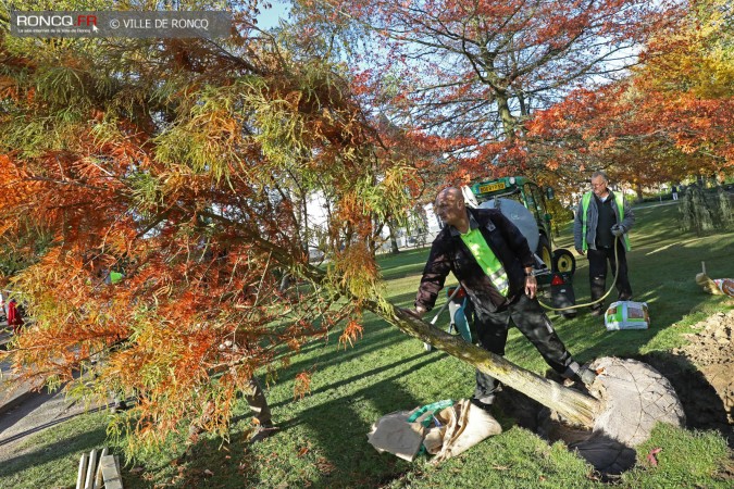 2018 - plantation d'un arbre