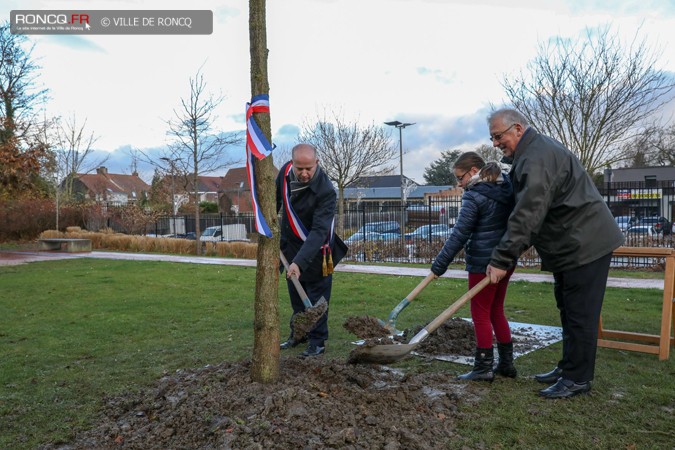 2018 - arbre republicain marelle