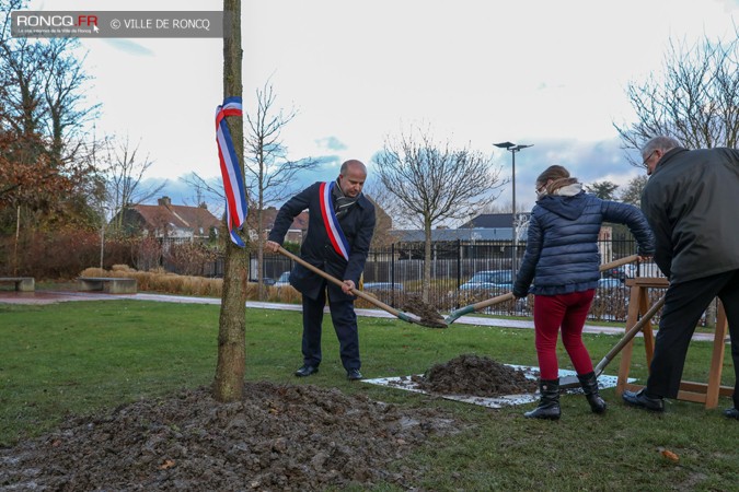 2018 - arbre republicain marelle