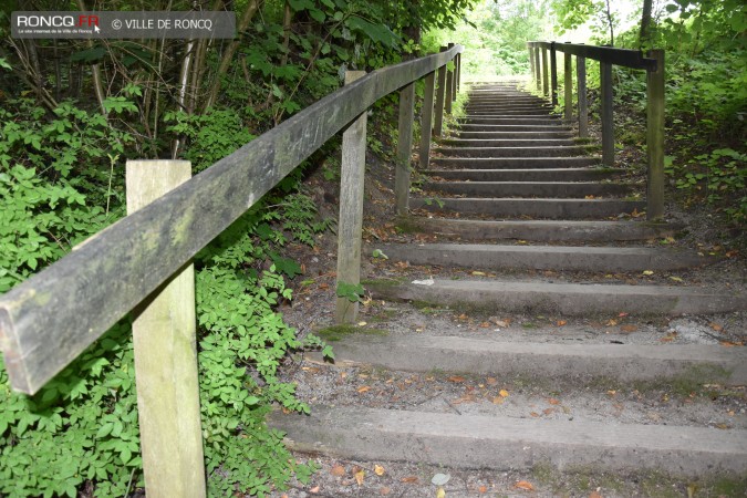 2018 - escalier Leurent