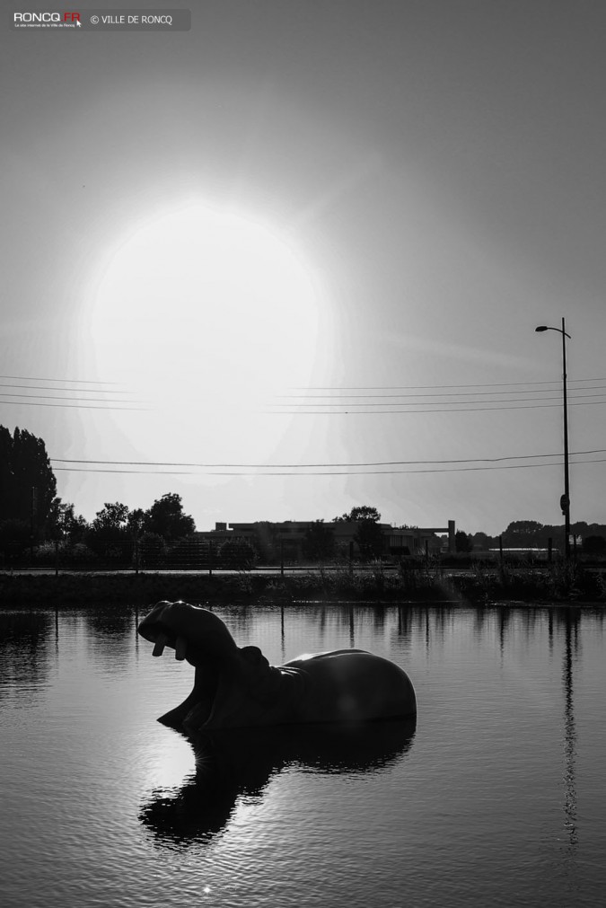 2018 - mise à l'eau Hippo