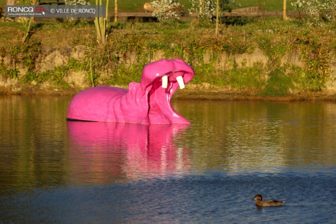 2018 - mise à l'eau Hippo