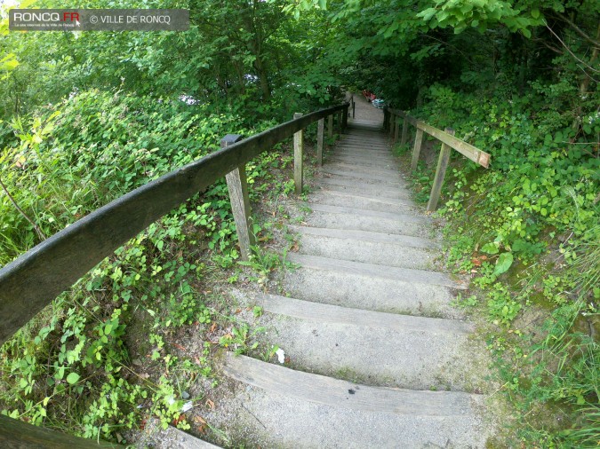 2018 - escalier Leurent