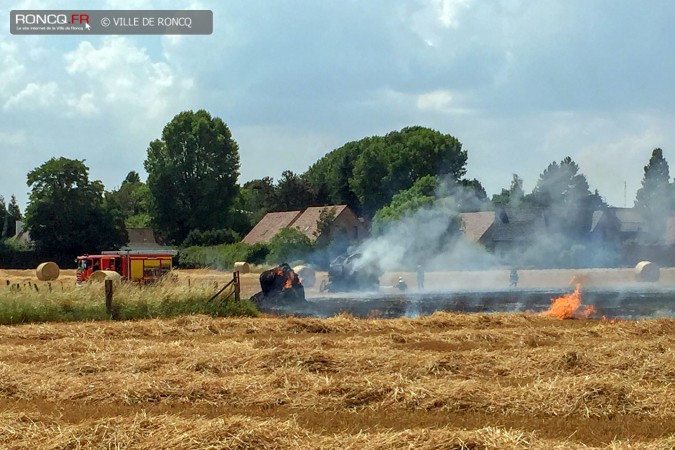 incendie chats huants