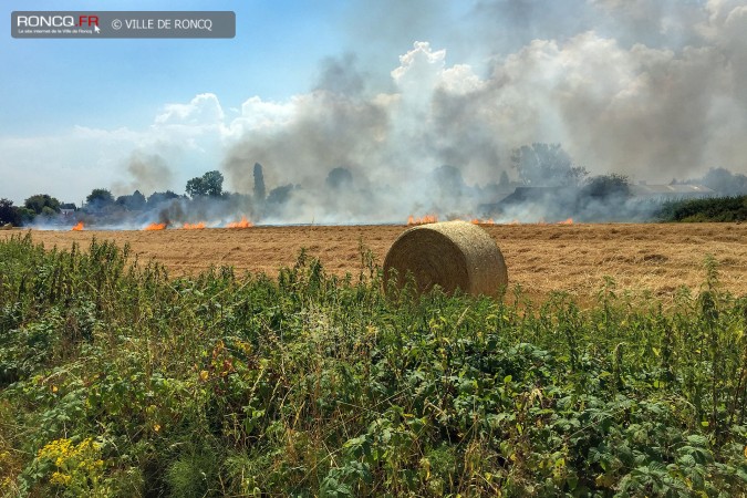 incendie chats huants