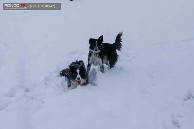 2019 - Neige 30 janvier