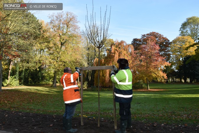 2019 - plantations automne