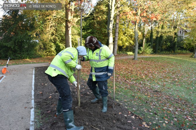 2019 - plantations automne