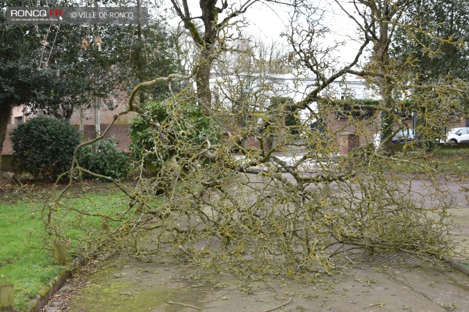 2019 - tempete 10 mars