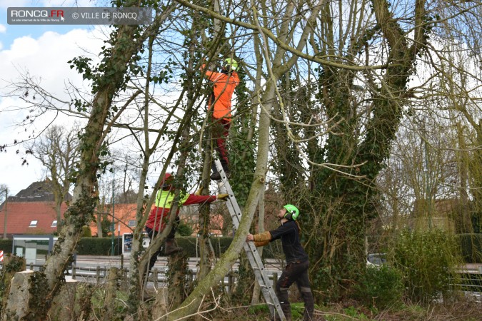 2019 - demarrage sentier pellegrin