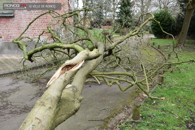 2019 - tempete 10 mars