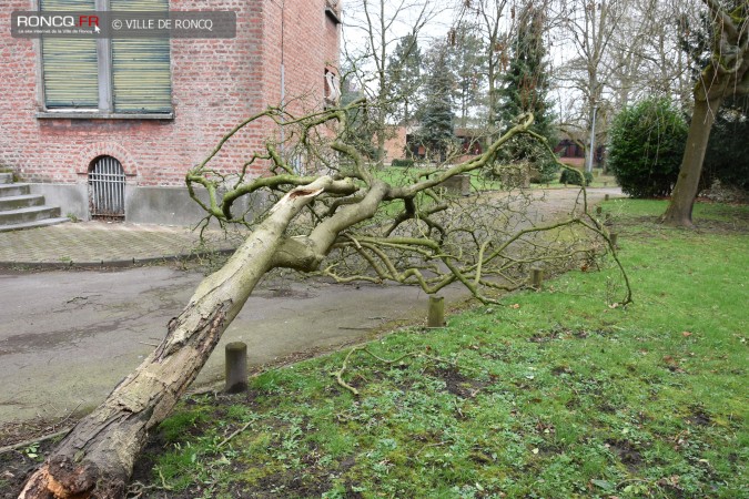 2019 - tempete 10 mars