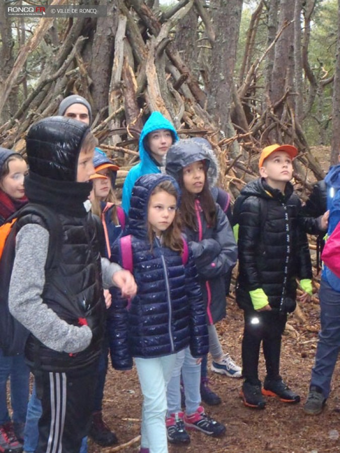 2019 - classes environnement