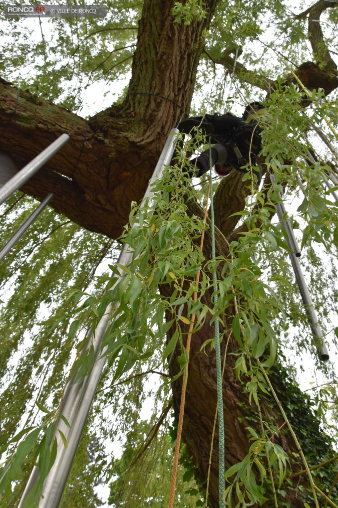 2019 - saule carillon installation