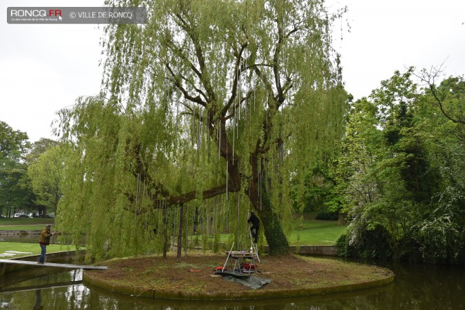 2019 - saule carillon installation