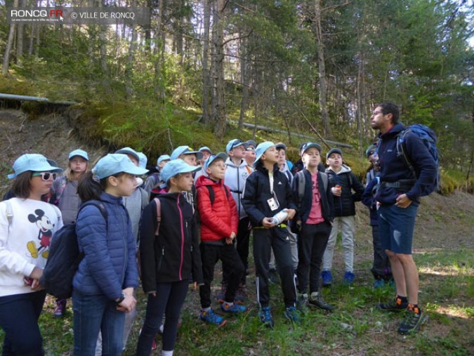 2019 - classes environnement