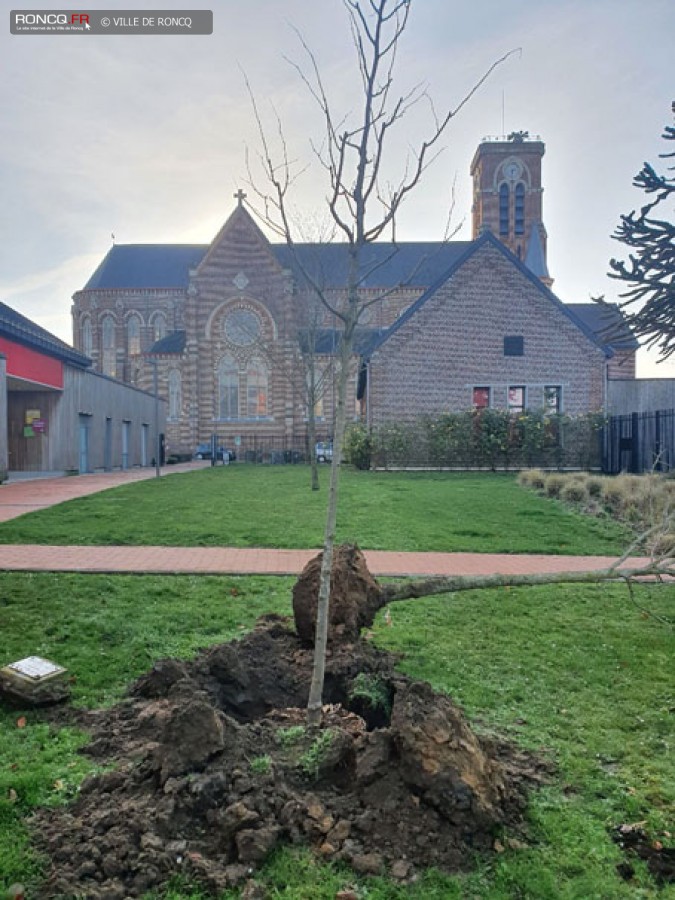 2020 - plantation arbre laicite